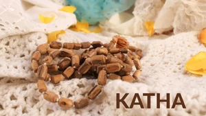 Katha on Bhakti Sagar TV - past program