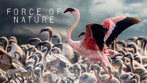 Force of Nature on Animal Planet HD Hindi - past program