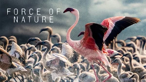 Force of Nature on Animal Planet HD Hindi - past program
