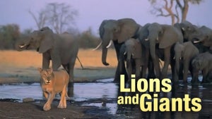Lions and Giants on INWILD - past program