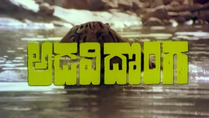 Adavi Donga on ETV Cinema HD  - past program