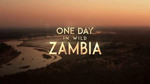 One Day in Wild Zambia on Animal Planet Hindi - past program