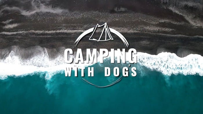 Camping With Dogs on JioTV
