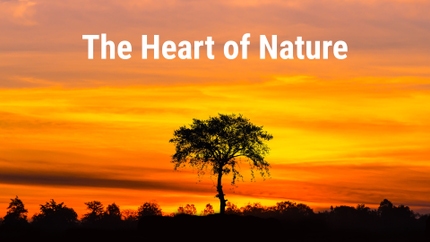 The Heart of Nature on Taiwan Plus