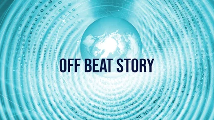 Off Beat Story on VR Live