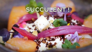 TV5 Monde on TV5 Monde - past program