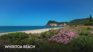 Whiritoa Beach, New Zealand on Stingray Naturescape - future program