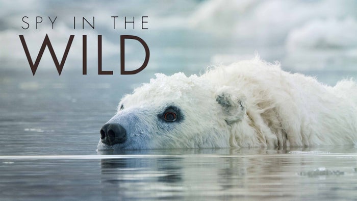 Spy in the Wild Episode No.3 on JioTV