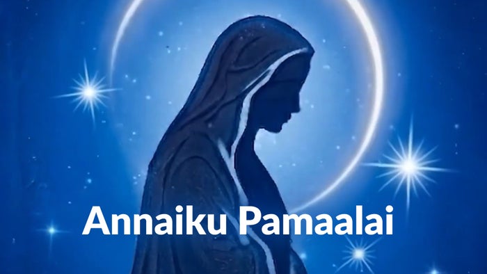 Annaiku Pamaalai on JioTV