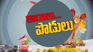 Karalu Podulu on ETV Abhiruchi - past program