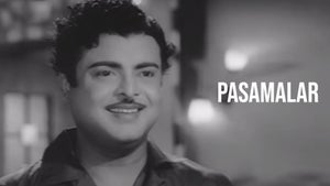 Pasamalar on Roja Movies - future program