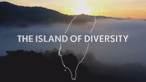An Island of Diversity on Taiwan Plus - past program