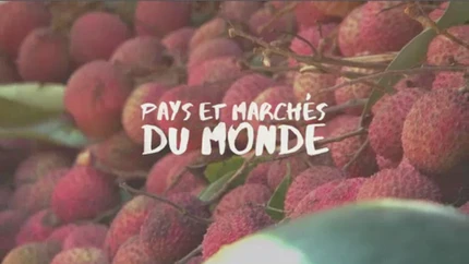 Pays et marchés du monde on TV5 Monde
