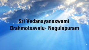 Sri Vedanarayanaswami Brahmotsavalu- Nagulapuram on SVBC - past program