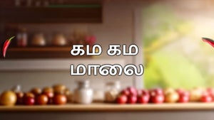 Gamma Gamma Malai Episode 732 on Jaya TV HD - future program
