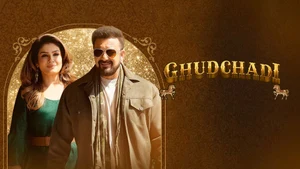 Ghudchadi on Colors Cineplex HD