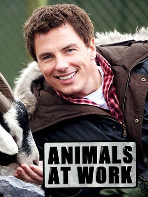 Animals at Work Episode 1 on INWILD - past program