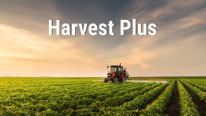 Harvest Plus on Food Food - future program