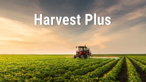 Harvest Plus on Food Food - past program