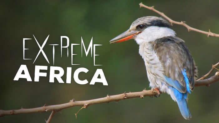 Extreme Africa Episode No.2 on JioTV