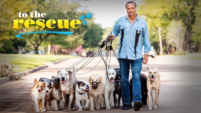 To the Rescue Episode No.1 on JioTV