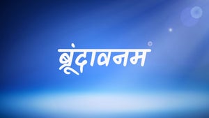 Brundavanam Episode 93 on DD Saptagiri - past program