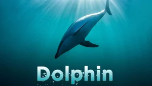 Dolphin on Surya HD