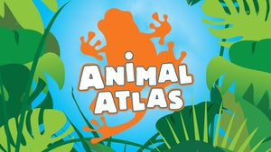 Animal Atlas Episode 1 on INWILD - past program