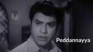 Peddannayya on ETV Cinema