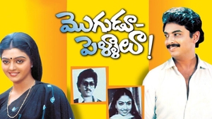 Mogudu Pellalu on ETV Cinema HD  - past program