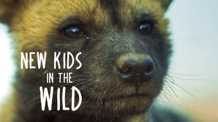 New Kids in the Wild on Animal Planet HD Tamil