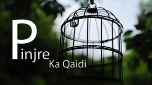 Pinjre Ka Qaidi Episode 1 on DD Kashir - future program
