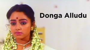 Donga Alludu on Sun Gemini Movies HD - live program