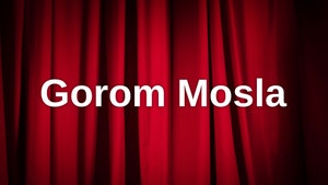 Gorom Mosla on Boogle Bangla - past program