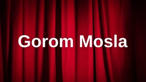 Gorom Mosla on Boogle Bangla - past program