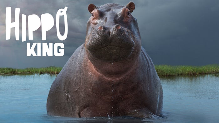 Animal Planet HD Hindi on JioTV