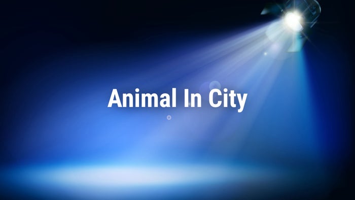 Animal In City on JioTV