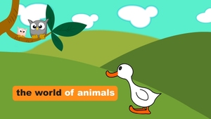 The World of Animals on Duck TV - past program
