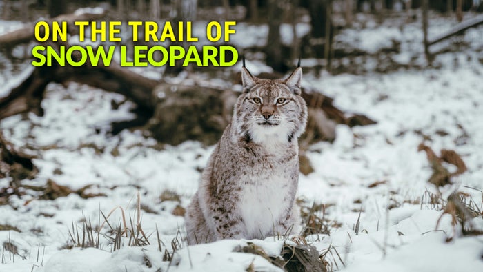On The Trail Of Snow Leopard Episode No.4 on JioTV