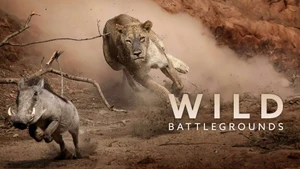 Wild Battleground on Animal Planet HD Hindi - past program