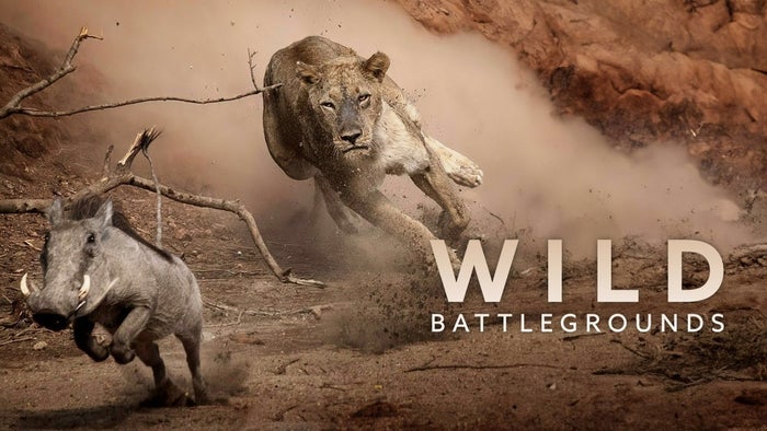 Wild Battleground Episode No.4 on JioTV