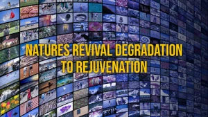 Natures Revival Degradation To Rejuvenation on Discovery HD World