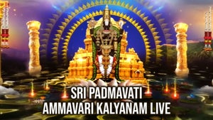 Sri Padmavati Ammavari Kalyanam Live on SVBC - past program