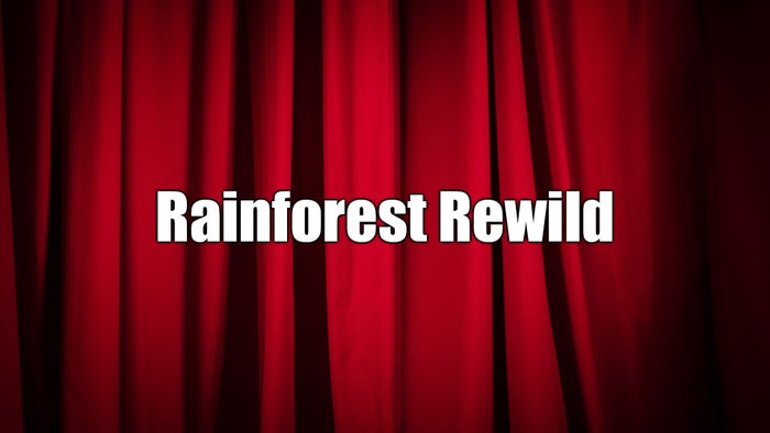Rainforest Rewild Episode No.1 on JioTV