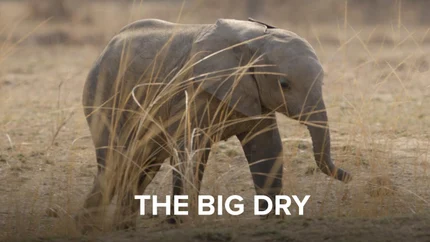 The Big Dry on Animal Planet English