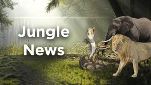 Jungle News on News Nation - past program