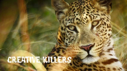 Creative Killers on Animal Planet English