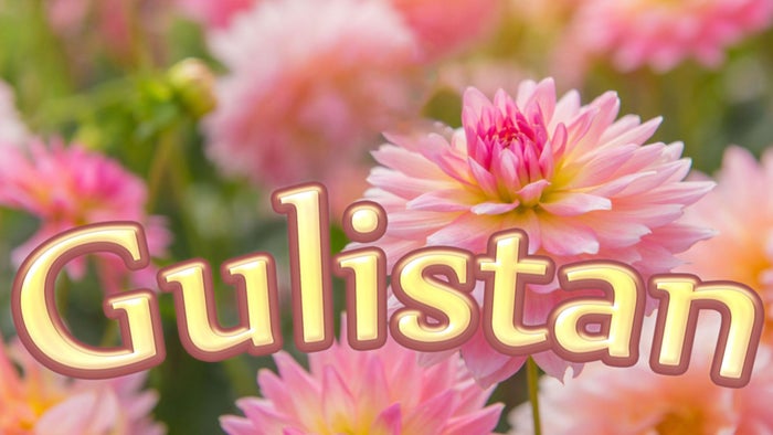 Gulistan on JioTV