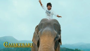 Gajakesari on Kairali TV - past program