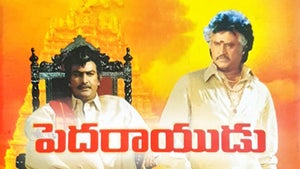 Pedarayudu on Sun Gemini HD - past program